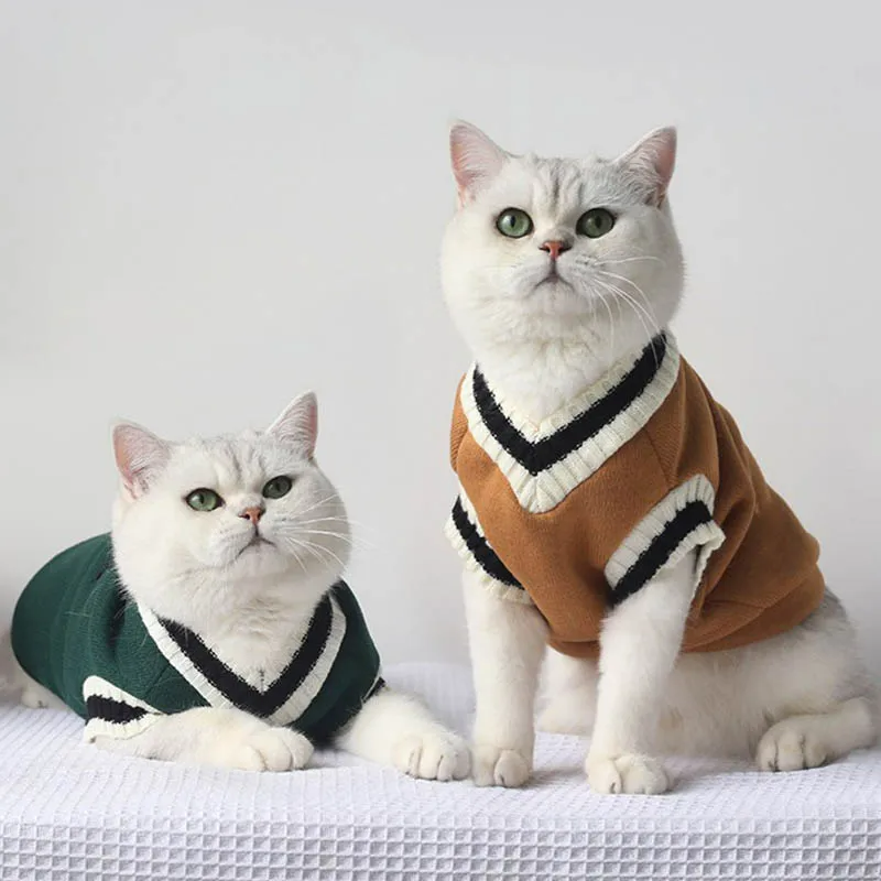 Roupa De Frio Para Gato - FDPLEARN